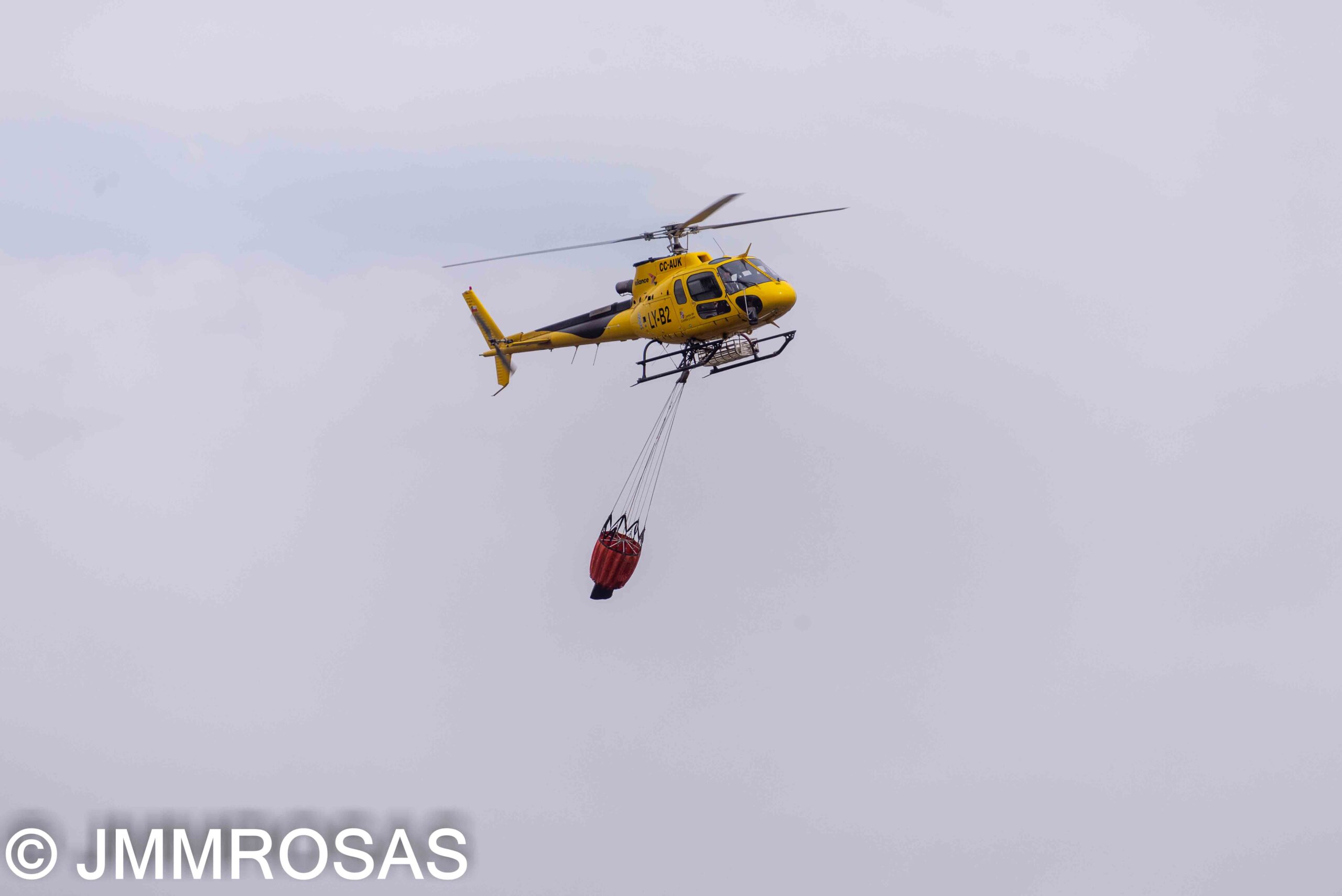 JMMROSAS - 5902