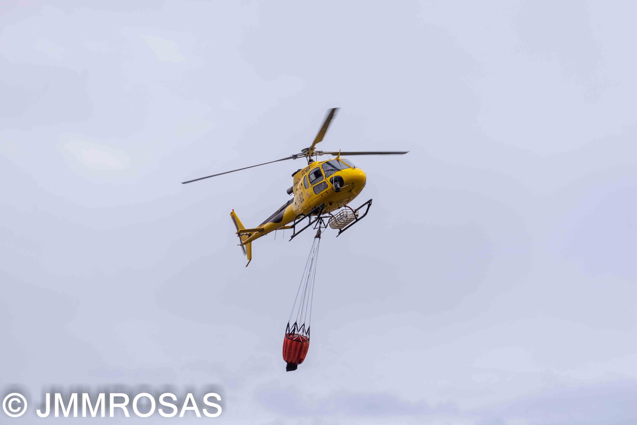 JMMROSAS - 5911